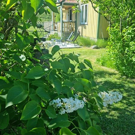 Charmigt Hus Pa Landet Naera Till Bad Strömstad Екстериор снимка